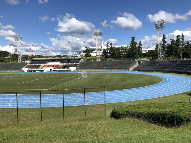 Ein Fußballfeld mit grünem Rasen, Pflanzen und einem umliegenden Zaun, vor einem Hintergrund aus Tribünen, Flutlicht, Bäumen, Gebäuden, Türmen und einem bewölkten Himmel.