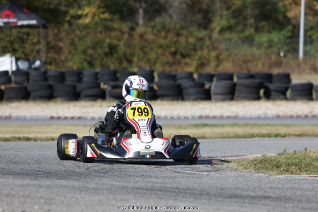 Eine Person in einem Helm fährt ein Go-Kart auf einer Rennstrecke, umgeben von Gras, mit Reifen, einem Zelt, einem Pfahl und Bäumen im Hintergrund; Text erscheint unten.