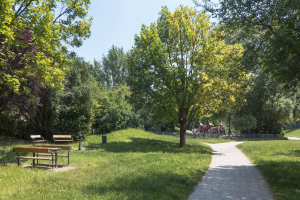 Ein Park mit einem gewundenen Pfad, gesäumt von Bänken, umgeben von Gras und Bäumen, mit Schuppen im Hintergrund unter einem klaren blauen Himmel.