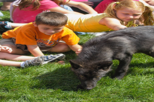 Kinder sitzen auf dem Gras mit einem Hund.