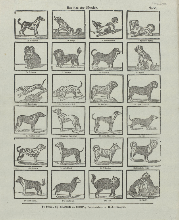 Ein altes Buch, das auf einer Seite mit Abbildungen verschiedener Hundewelpen und begleitendem Text geöffnet ist.