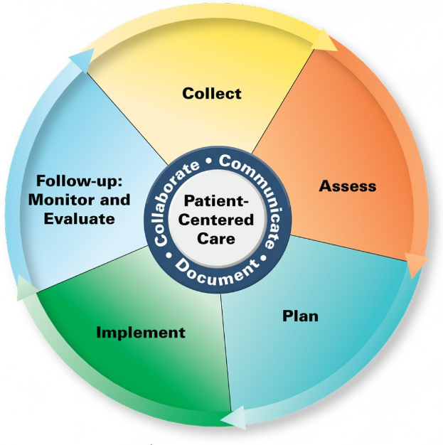 Kreisförmiges Diagramm mit der Bezeichnung "patientenorientierte Versorgung" mit vier farbigen Abschnitten, von denen jeder eine spezifische Versorgung beschreibt.
