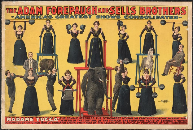 Plakat für die konsolidierte Zirkusshow von Adam Forepaugh und Sells Brothers mit Performern auf Hockern, einem Elefanten und Text.