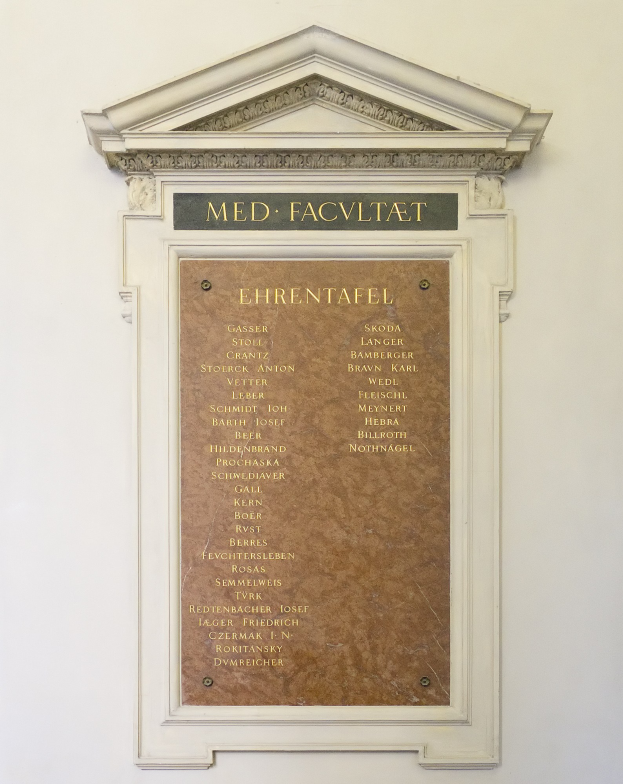 Ein rechteckiges weißes Schild mit schwarzer fetter Schrift, auf dem "Med Facilitat" steht, an einer Gebäudewand angebracht.