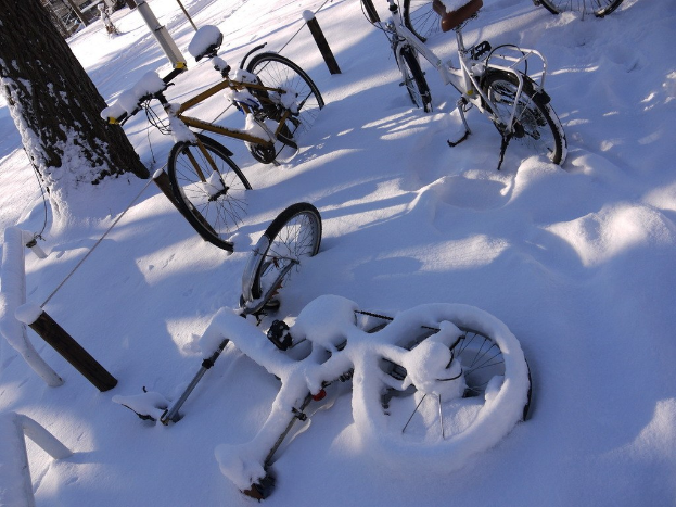 Fahrräder teilweise von Schnee bedeckt, neben einem Baumstamm und Straße aufgereiht.